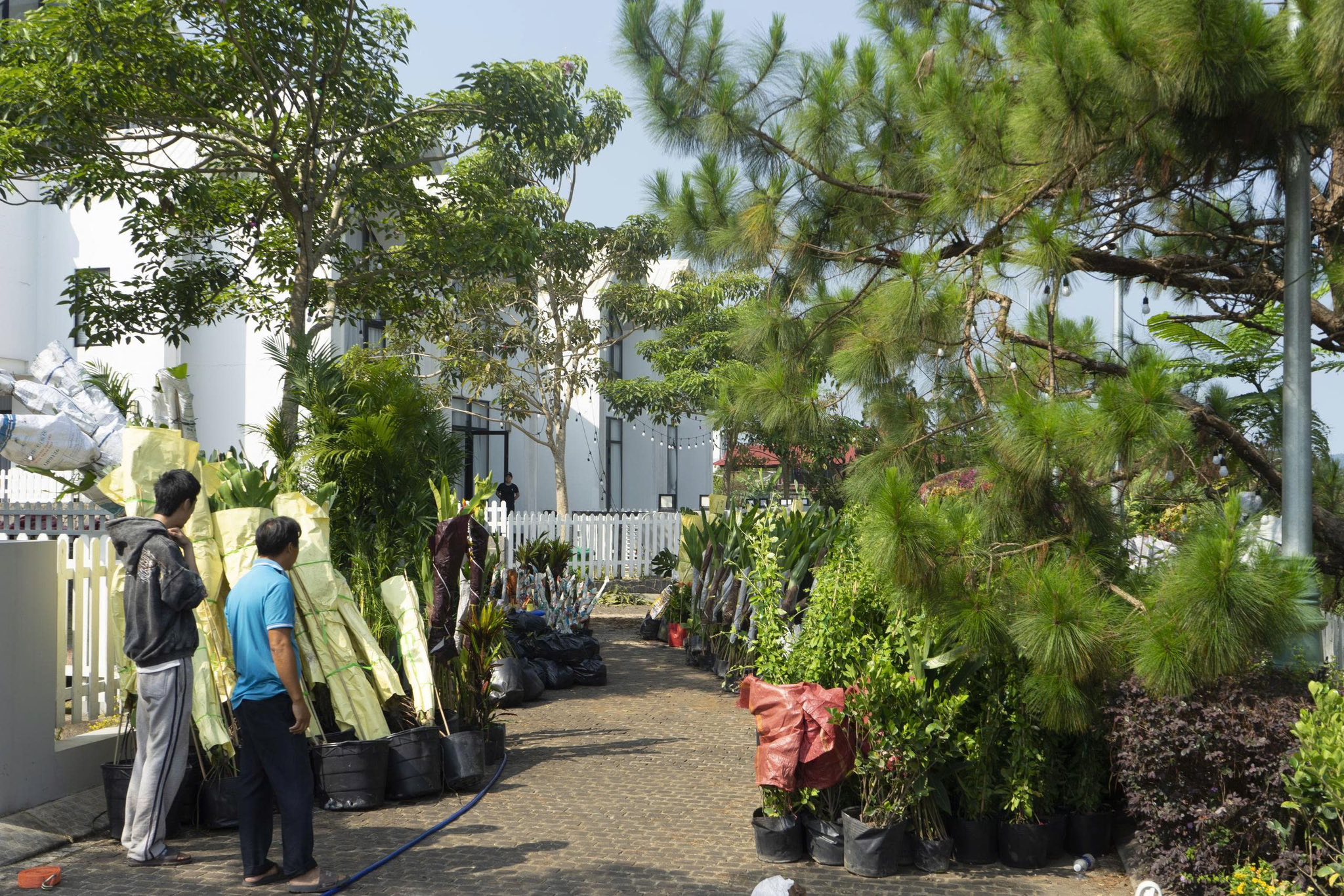 Photo Copyrighted @Mark Weber. All Rights Reserved. 2013.