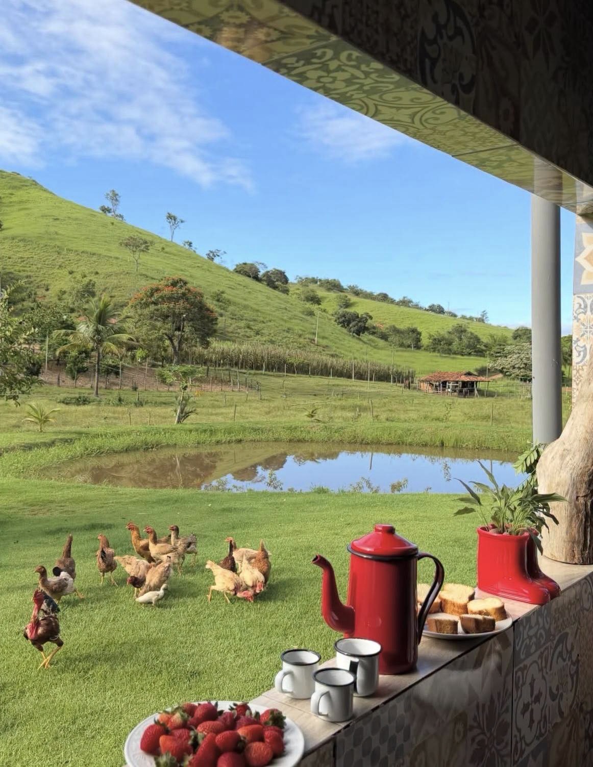 Photo Copyrighted @Mark Weber. All Rights Reserved. 2013.