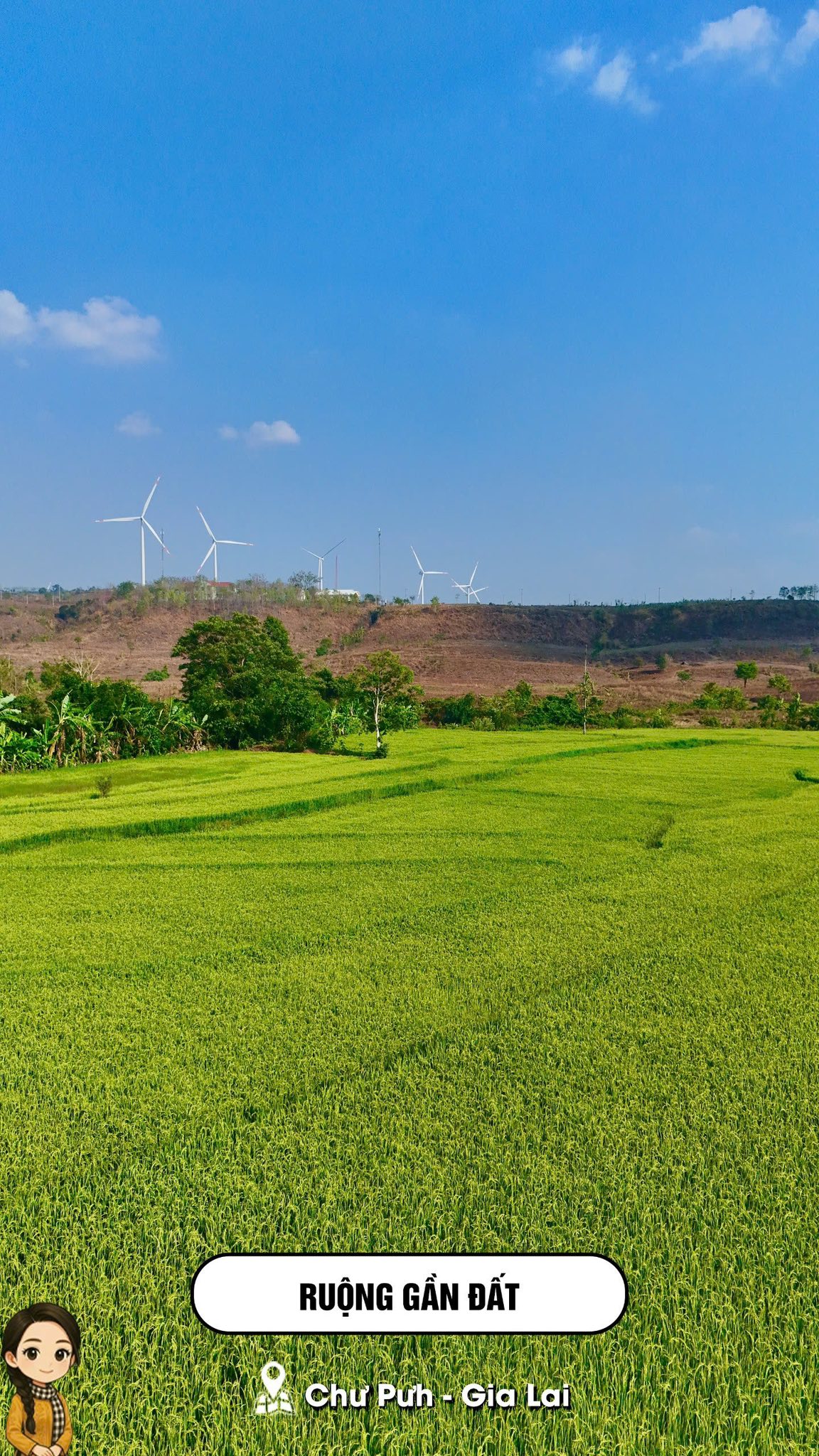 666679070 1542330980596241 3944449037412821583 n (1)