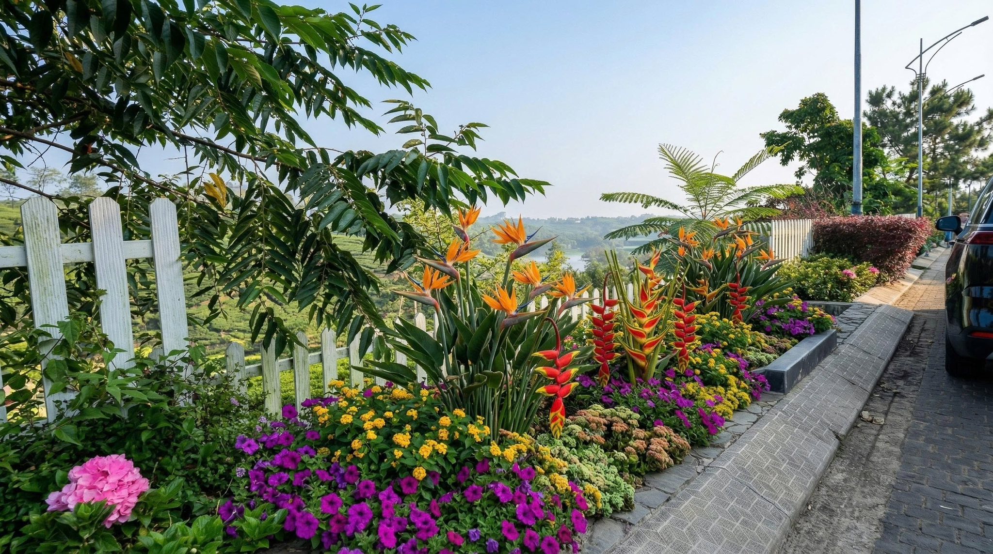 668710739 1543000893862583 4388626186480979699 n