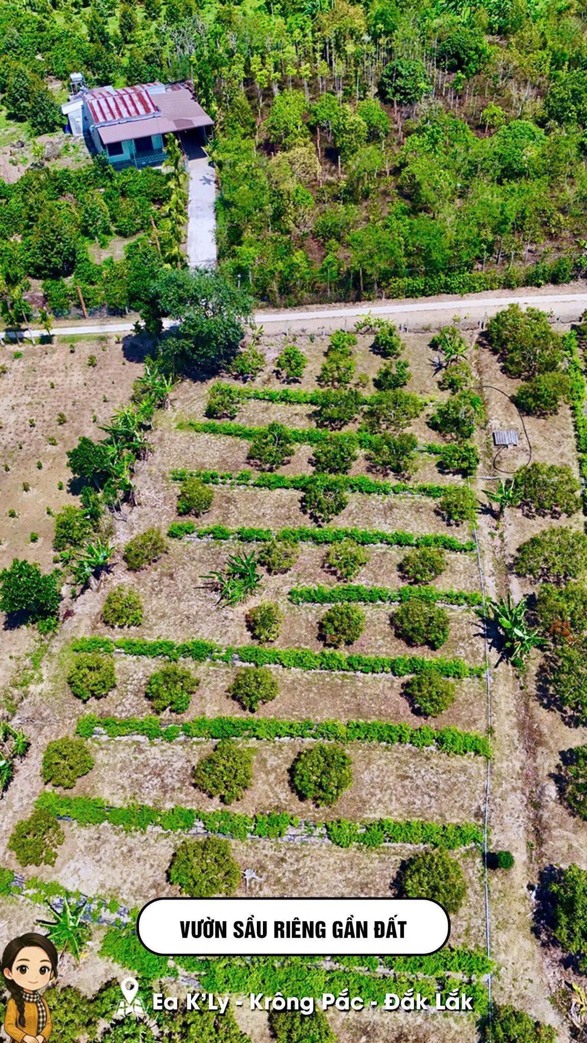 Mark Weber copyrighted 12