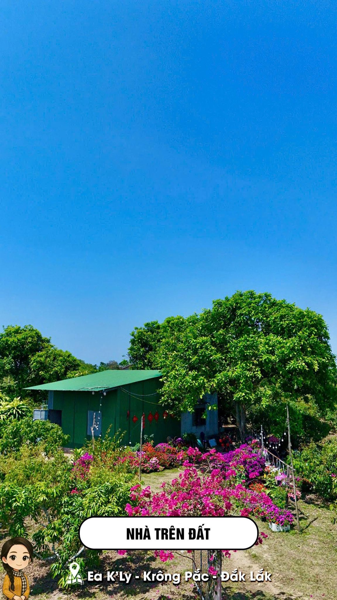 Mark Weber copyrighted 13