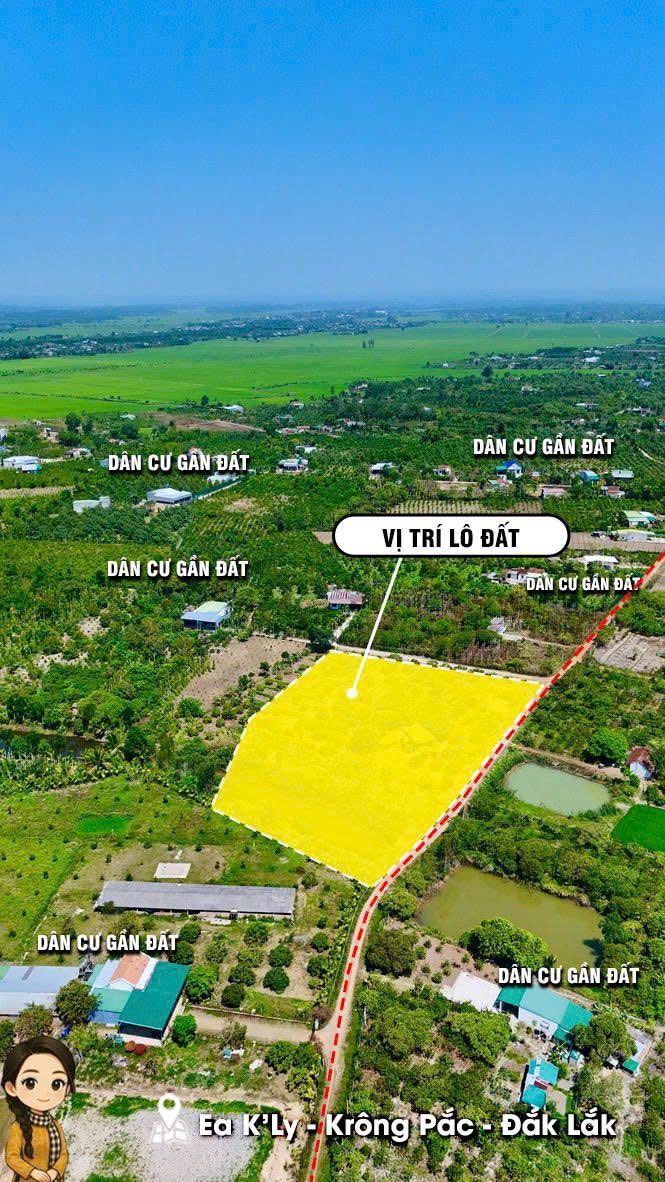 Mark Weber copyrighted 1333