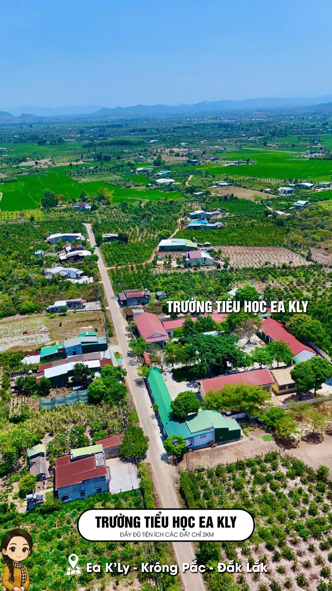 Mark Weber copyrighted 139