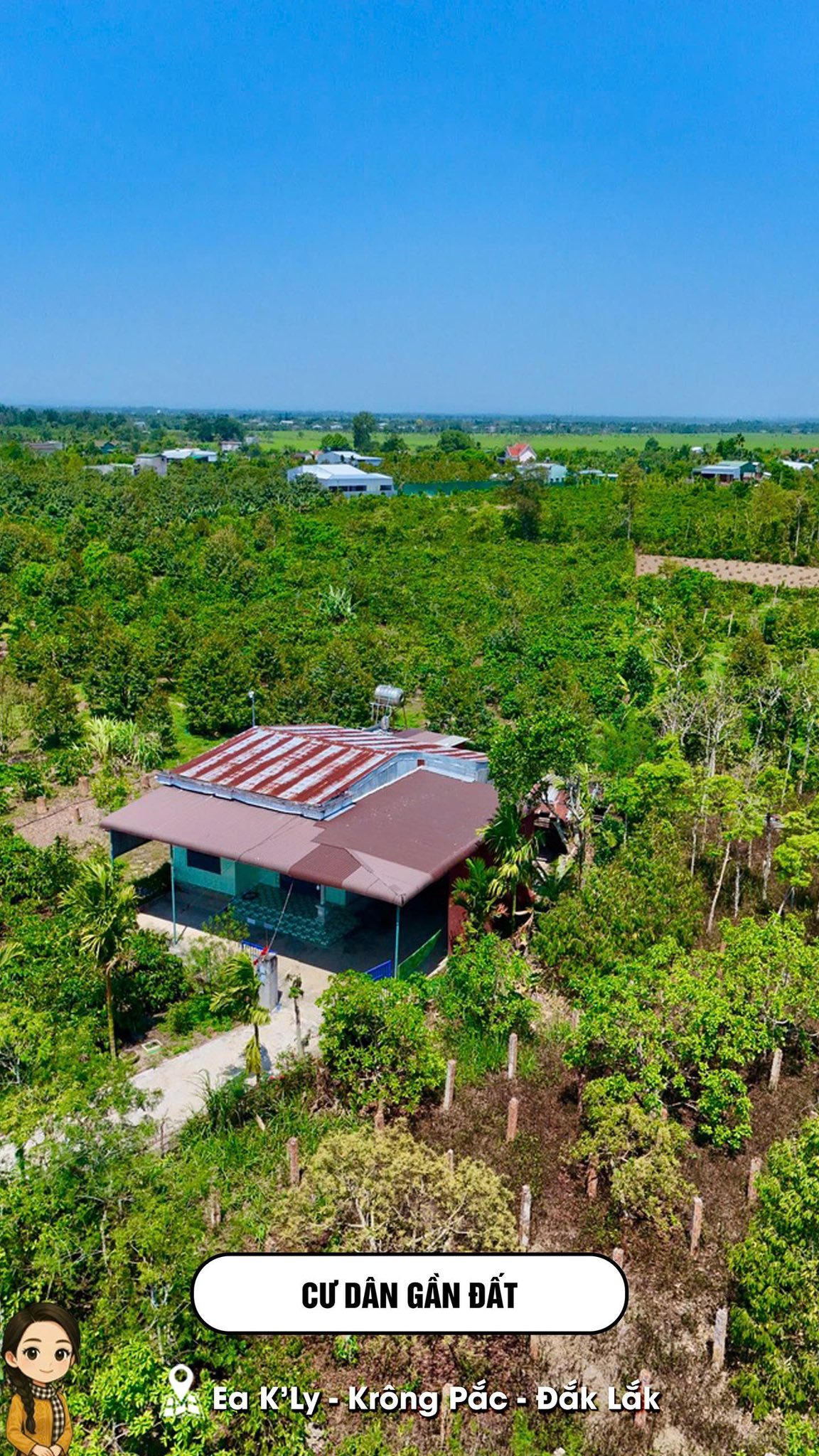 Mark Weber copyrighted 14