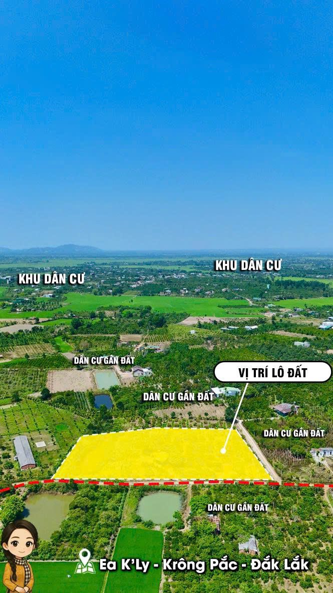 Mark Weber copyrighted 144