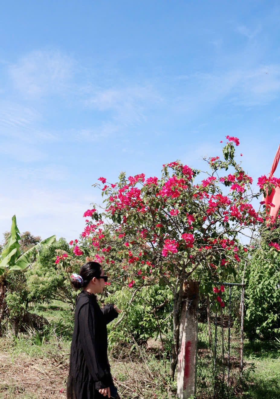 Photo Copyrighted @Mark Weber. All Rights Reserved. 2013.