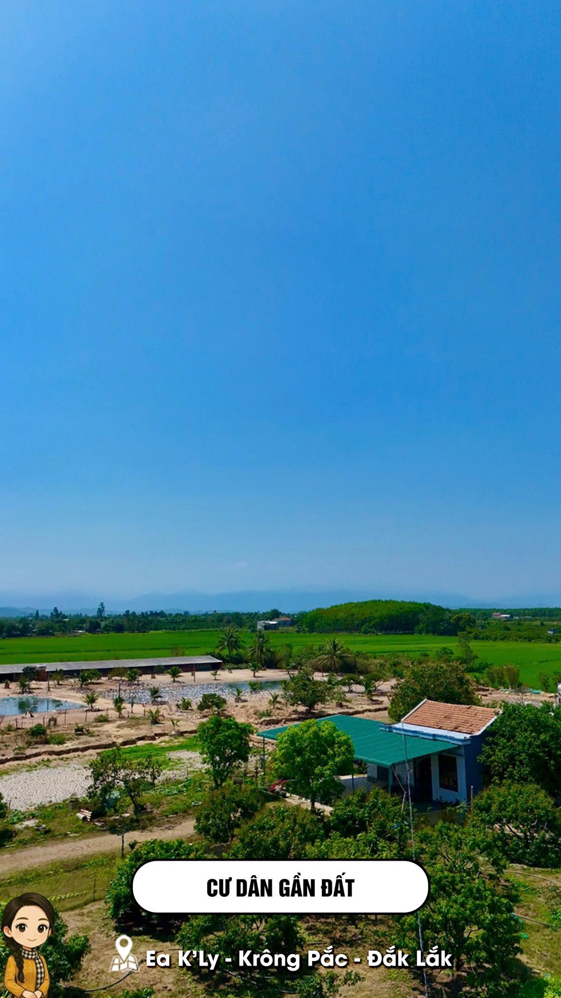 Mark Weber copyrighted 15