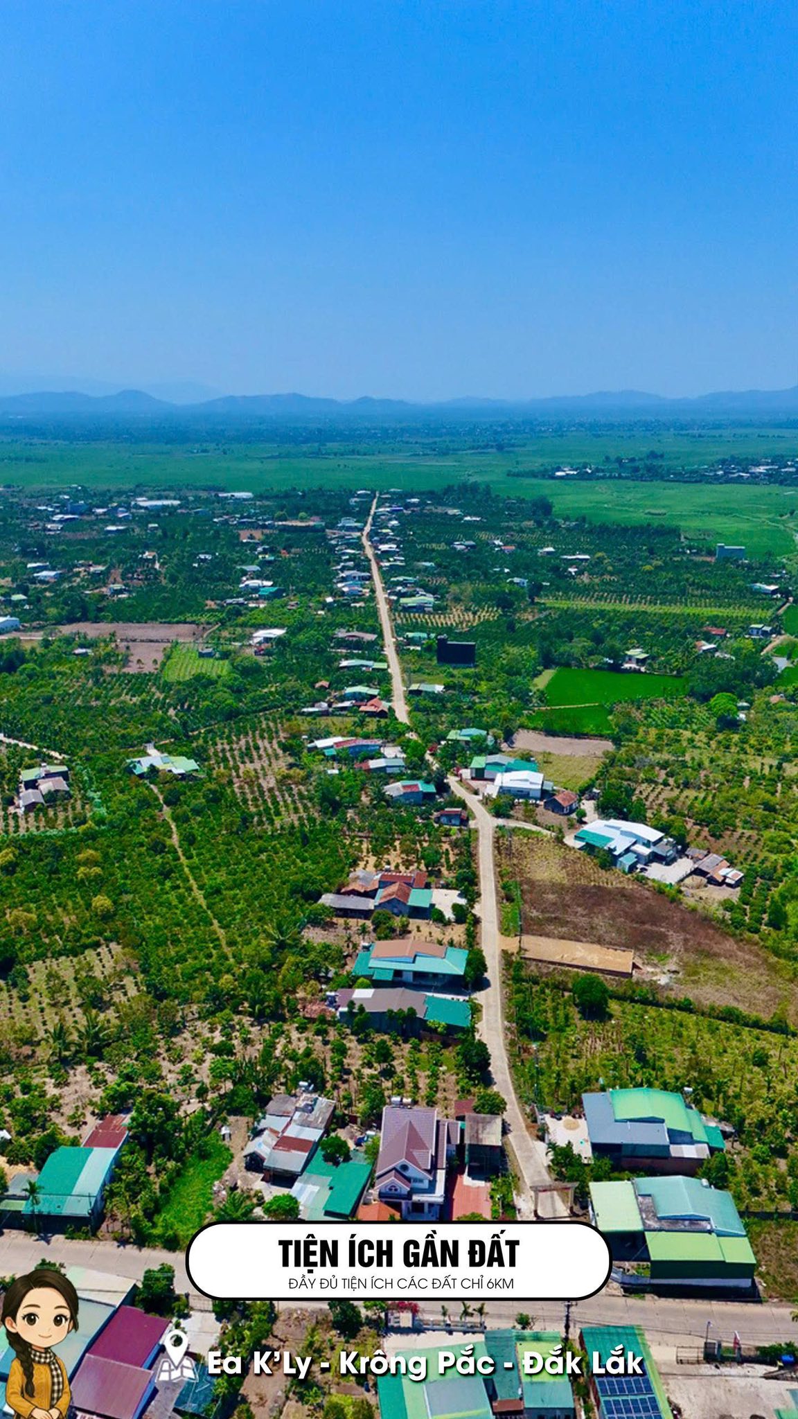 Mark Weber copyrighted 17829