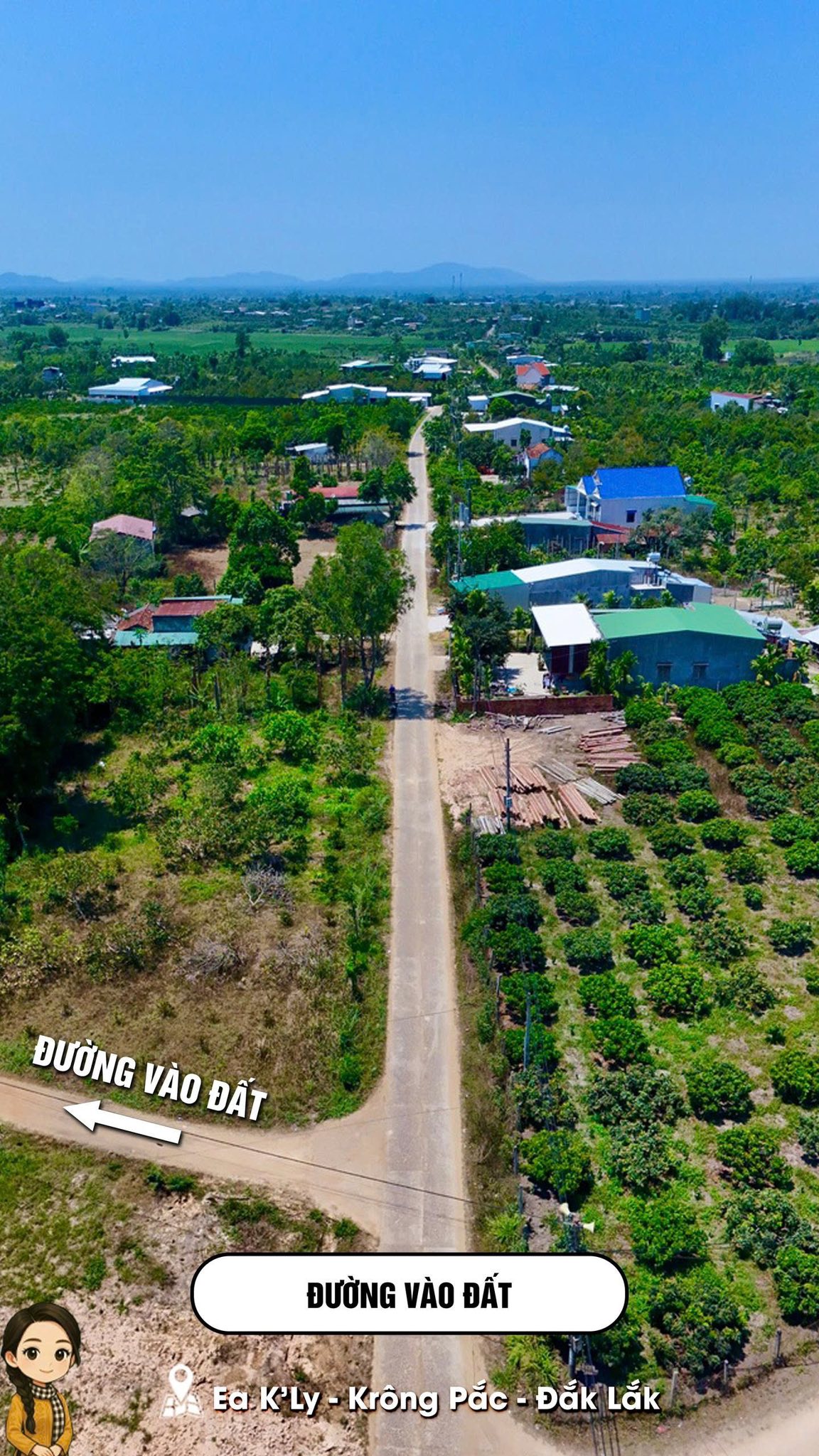 Mark Weber copyrighted 19