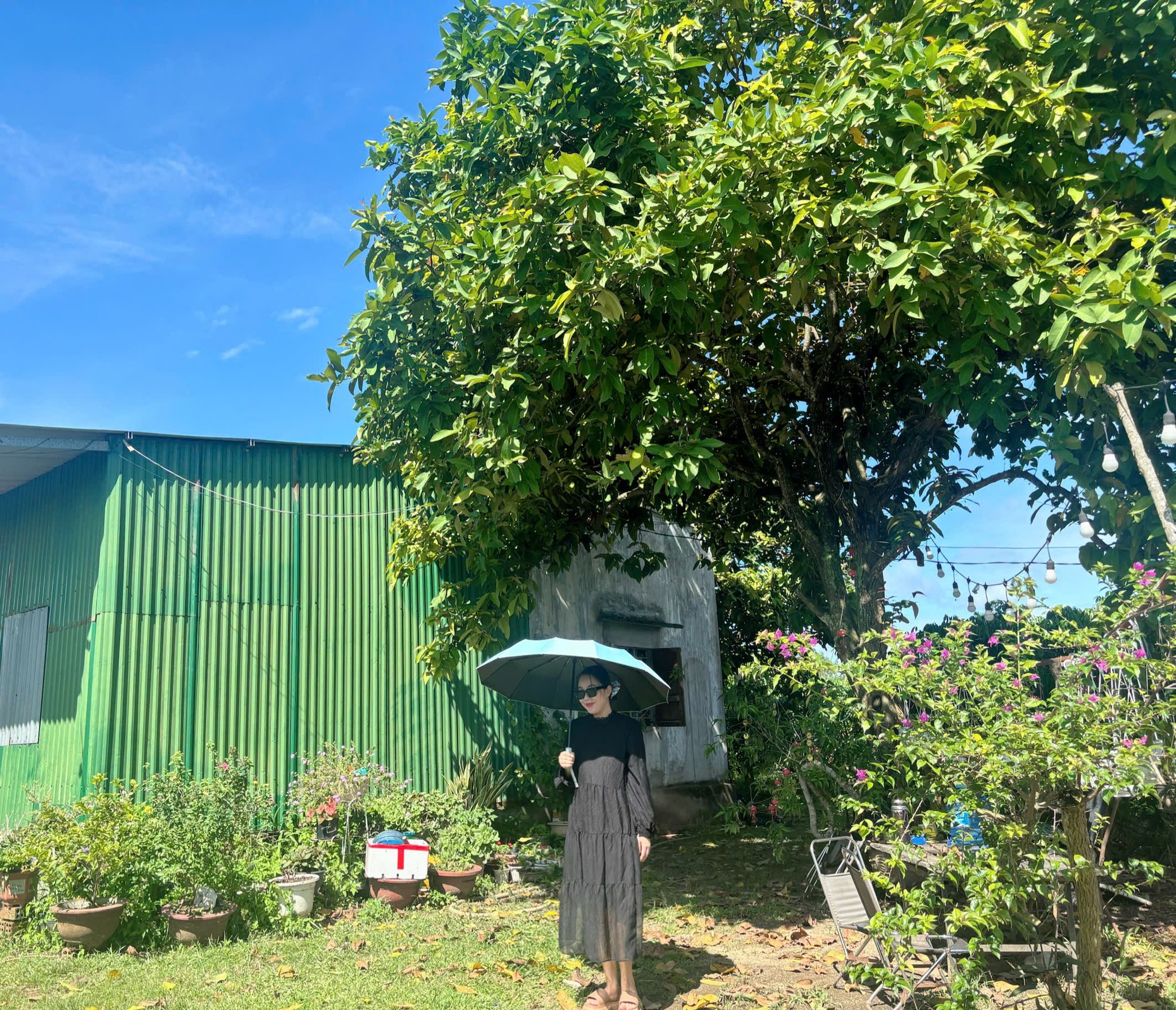 Mark Weber copyrighted